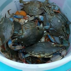 Meet your Posher, Roberto